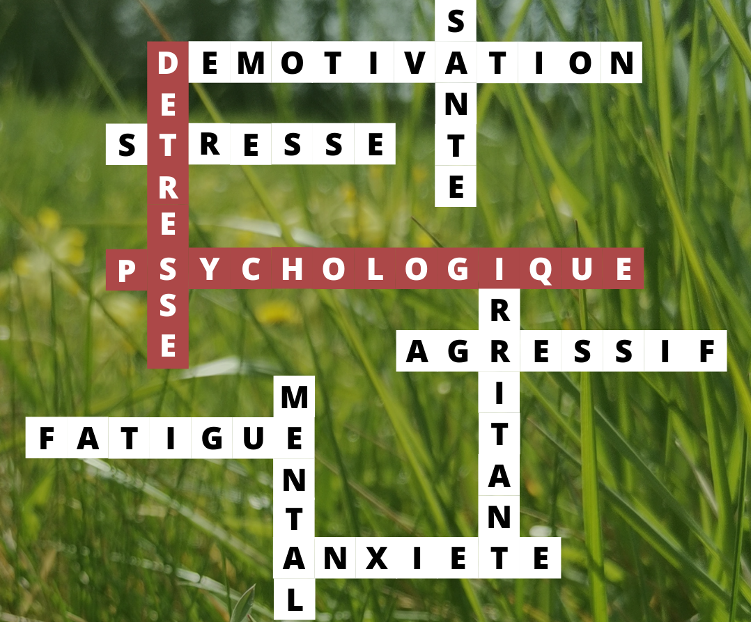 « Détresse psychologique »: les maux ont un sens.